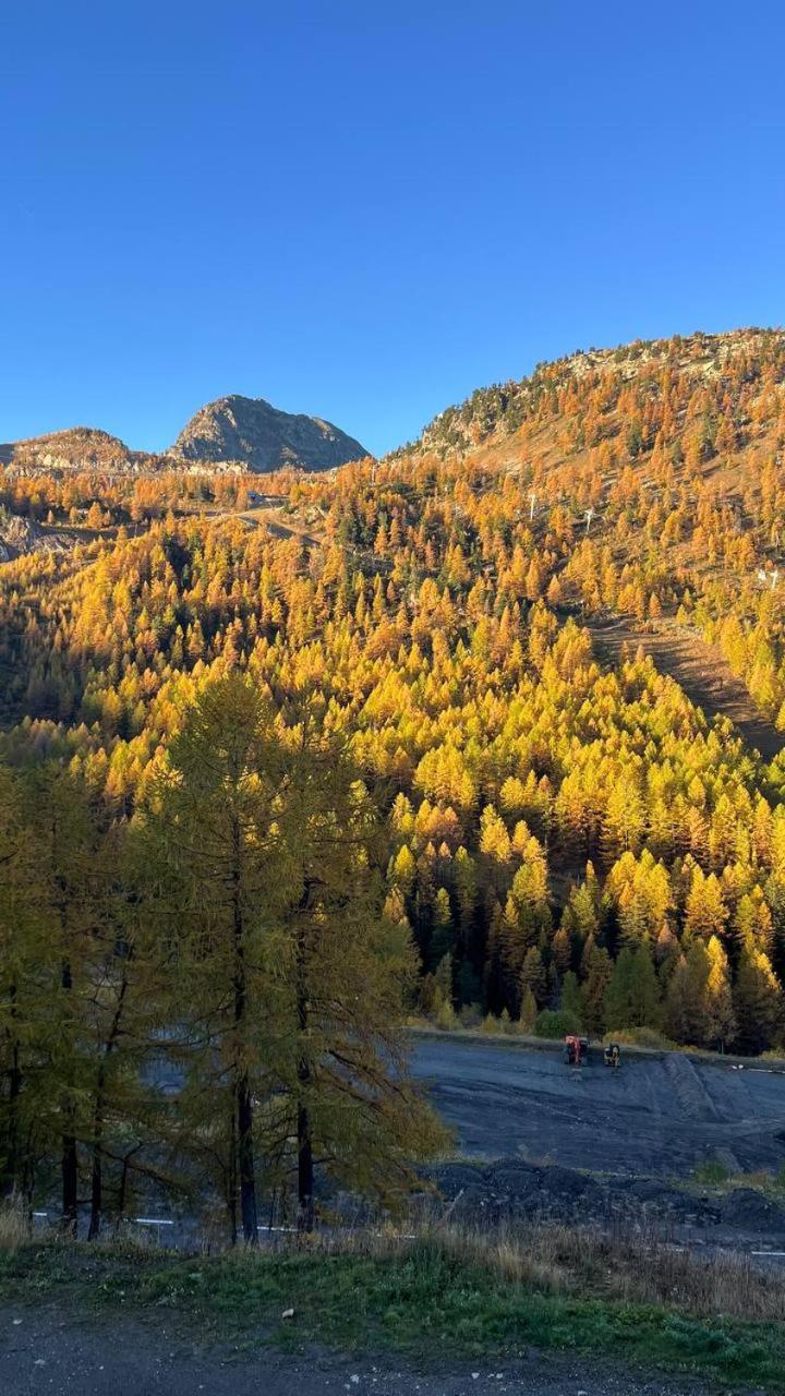 Refuge Des Vues Alpines Isola 2000 Lägenhet Exteriör bild